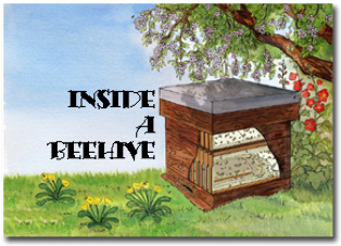 Book cover 'Inside a Beehive'