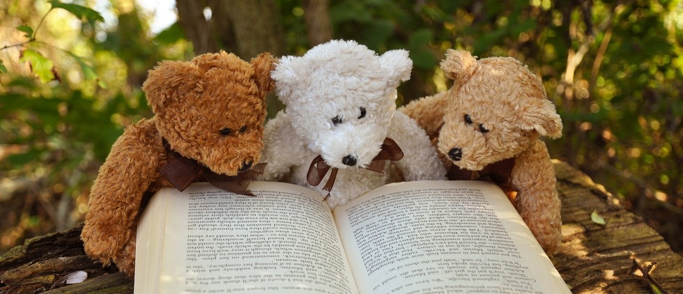 Three teddy bears 'reading' fascinating book